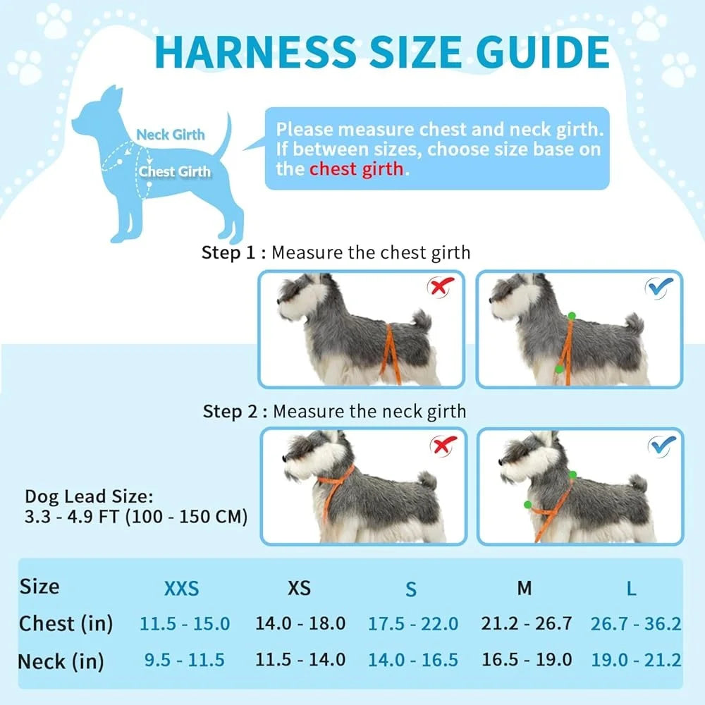 Fujian Padded Dog Harness And Leash Set Reflective Gear