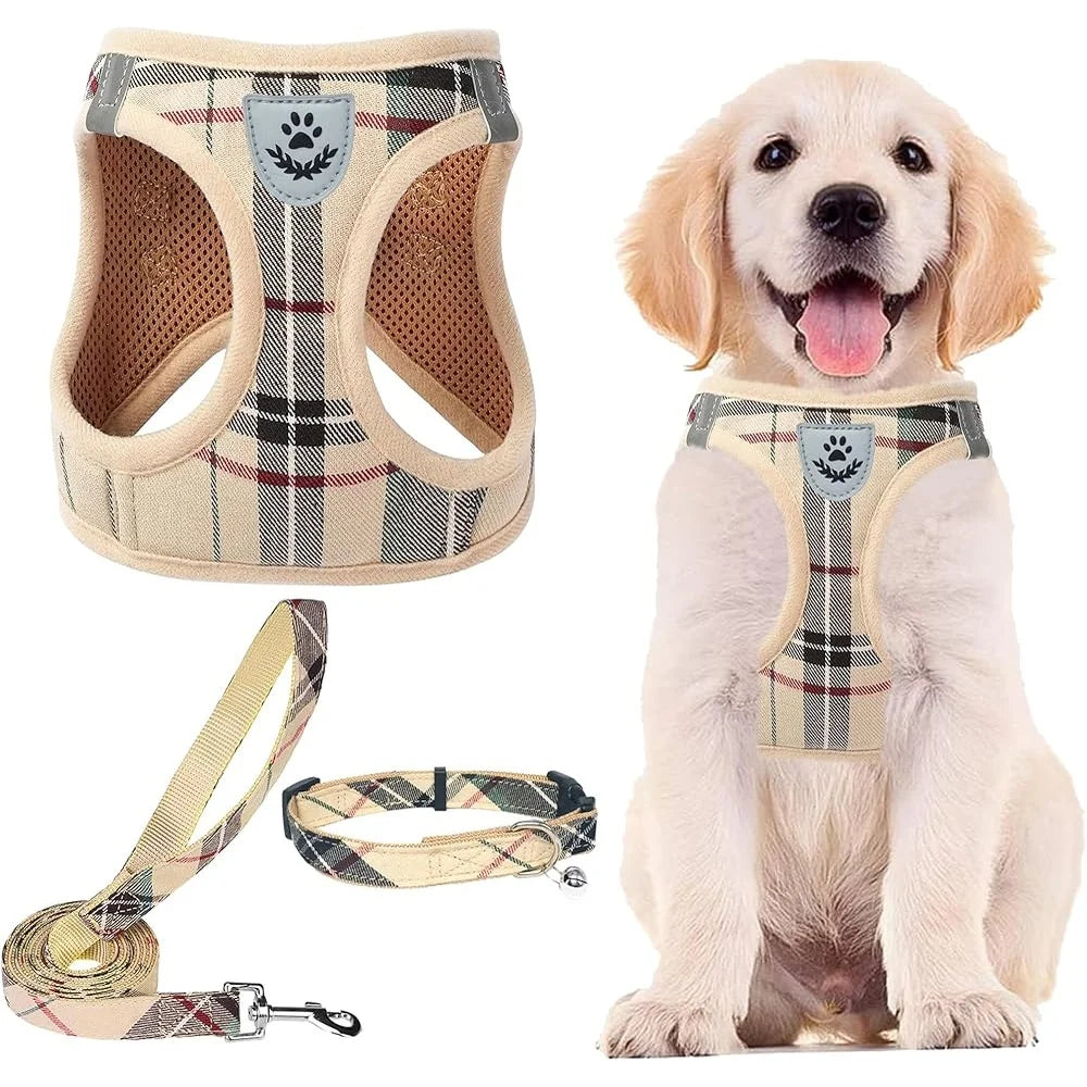 Fujian No Pull Dog Harness Set With Breathable Leash