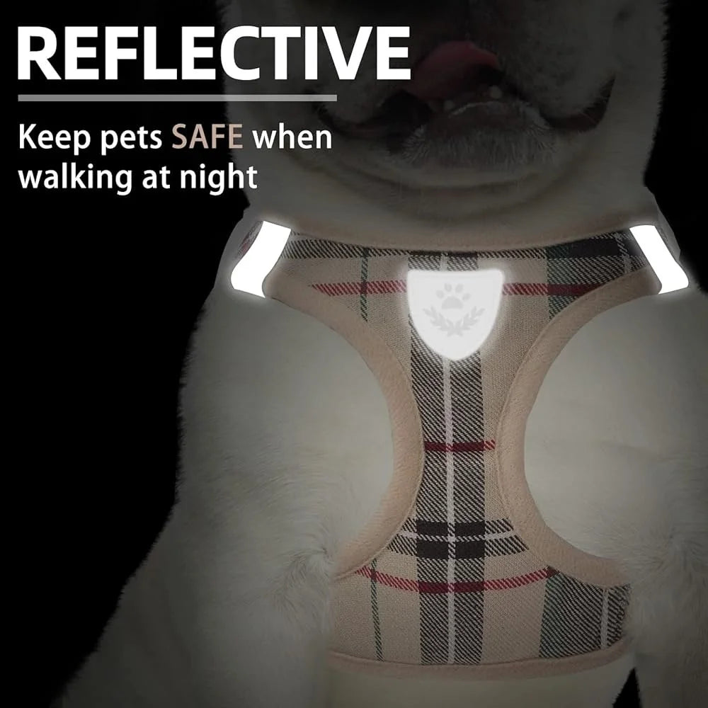 Fujian No Pull Dog Harness Set With Breathable Leash