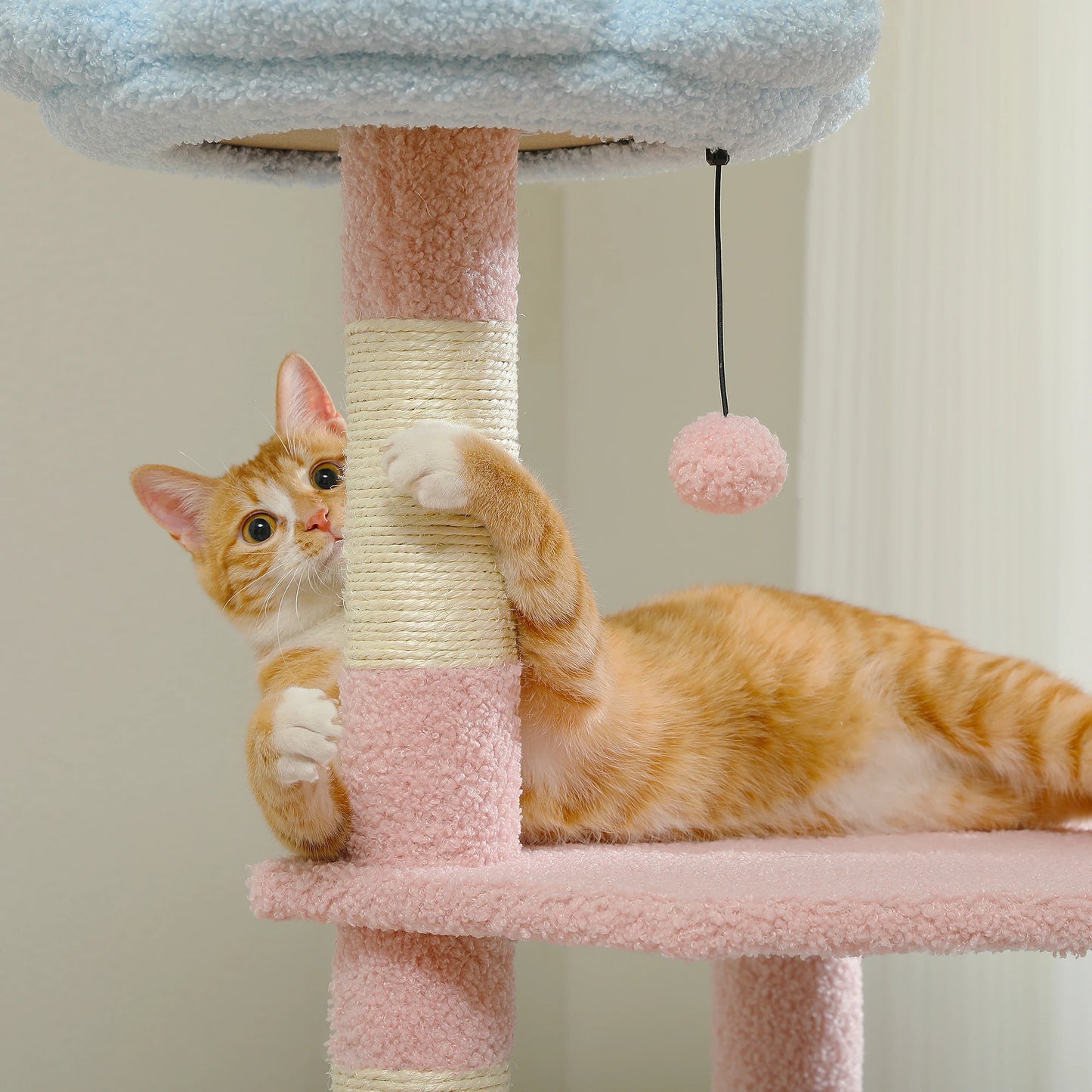 PAWZ Road 5 Level Flower Cat Tree With Sisal Posts Indoors