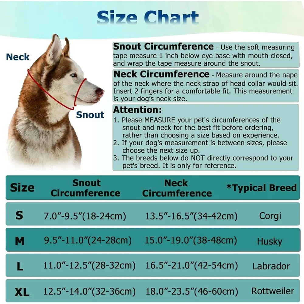 Fujian No Pull Dog Head Halter Reflective Training Harness
