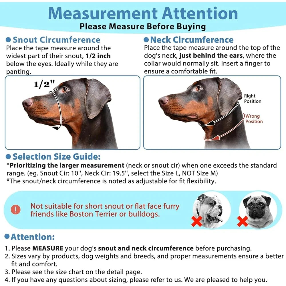 Fujian Nylon Dog Head Collar No Pull Training Halter