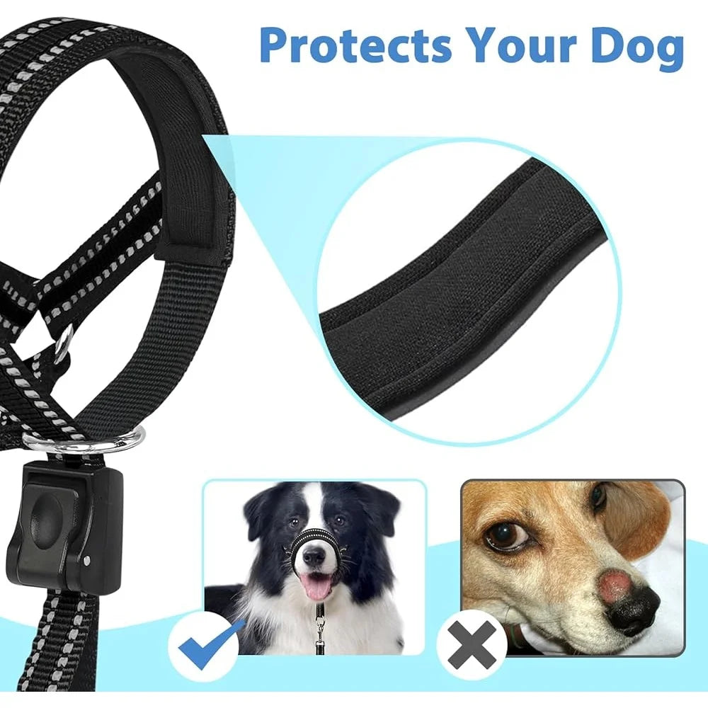 Fujian Nylon Dog Head Collar No Pull Training Halter