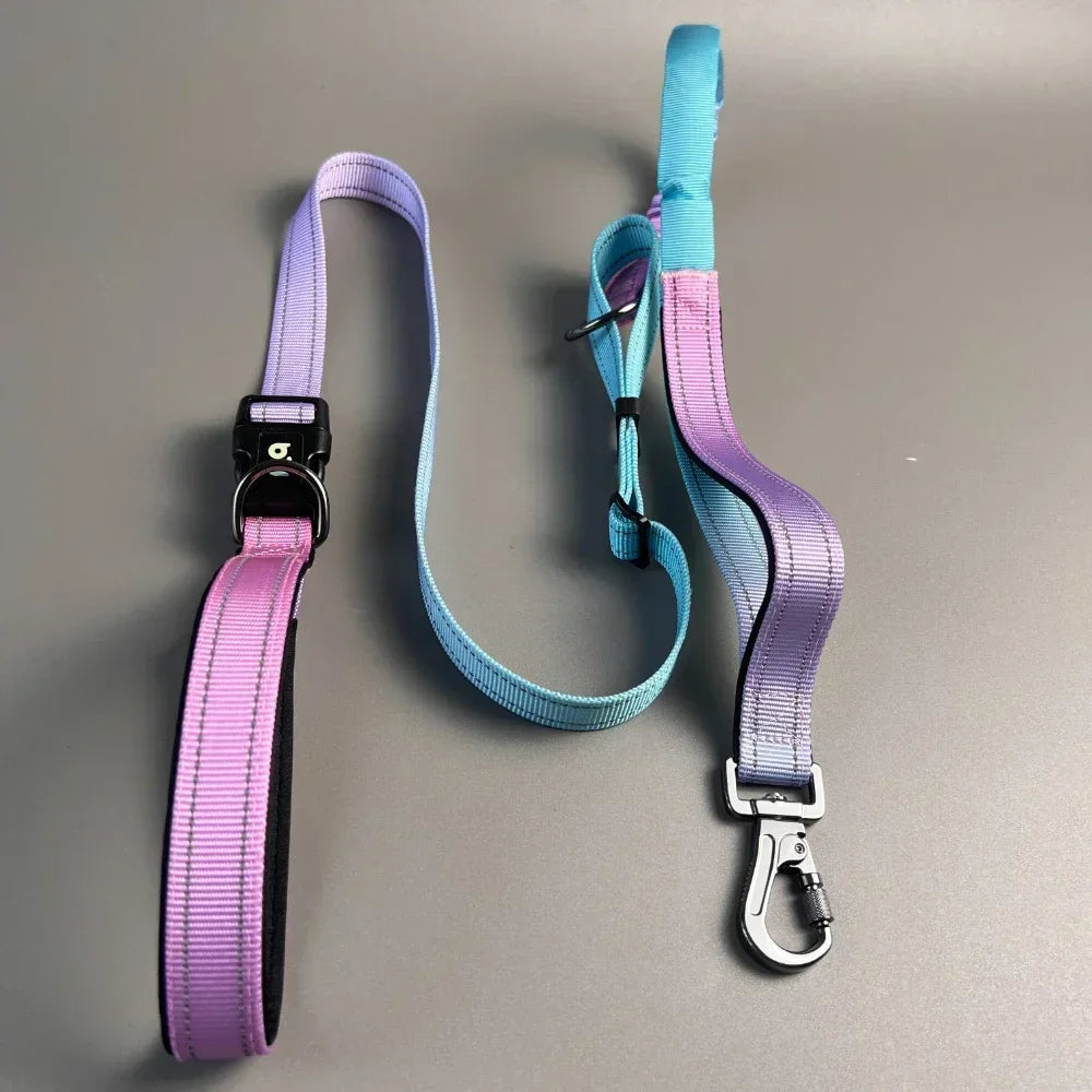 Petibiz Hands Free Dog Leash Zipper Pouch Cushioned Handles