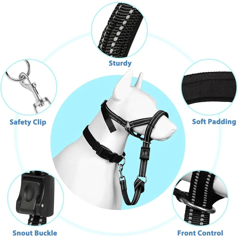 Fujian Nylon Dog Head Collar No Pull Training Halter