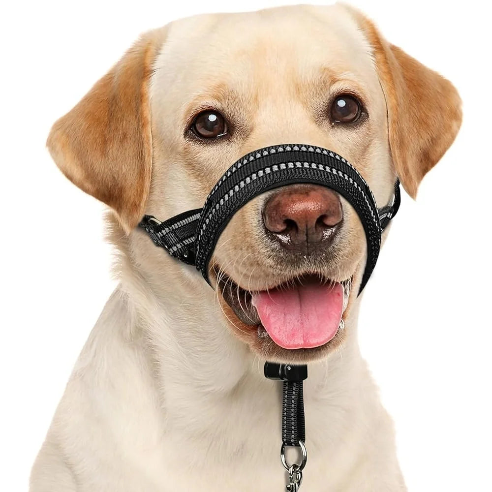 Fujian Nylon Dog Head Collar No Pull Training Halter