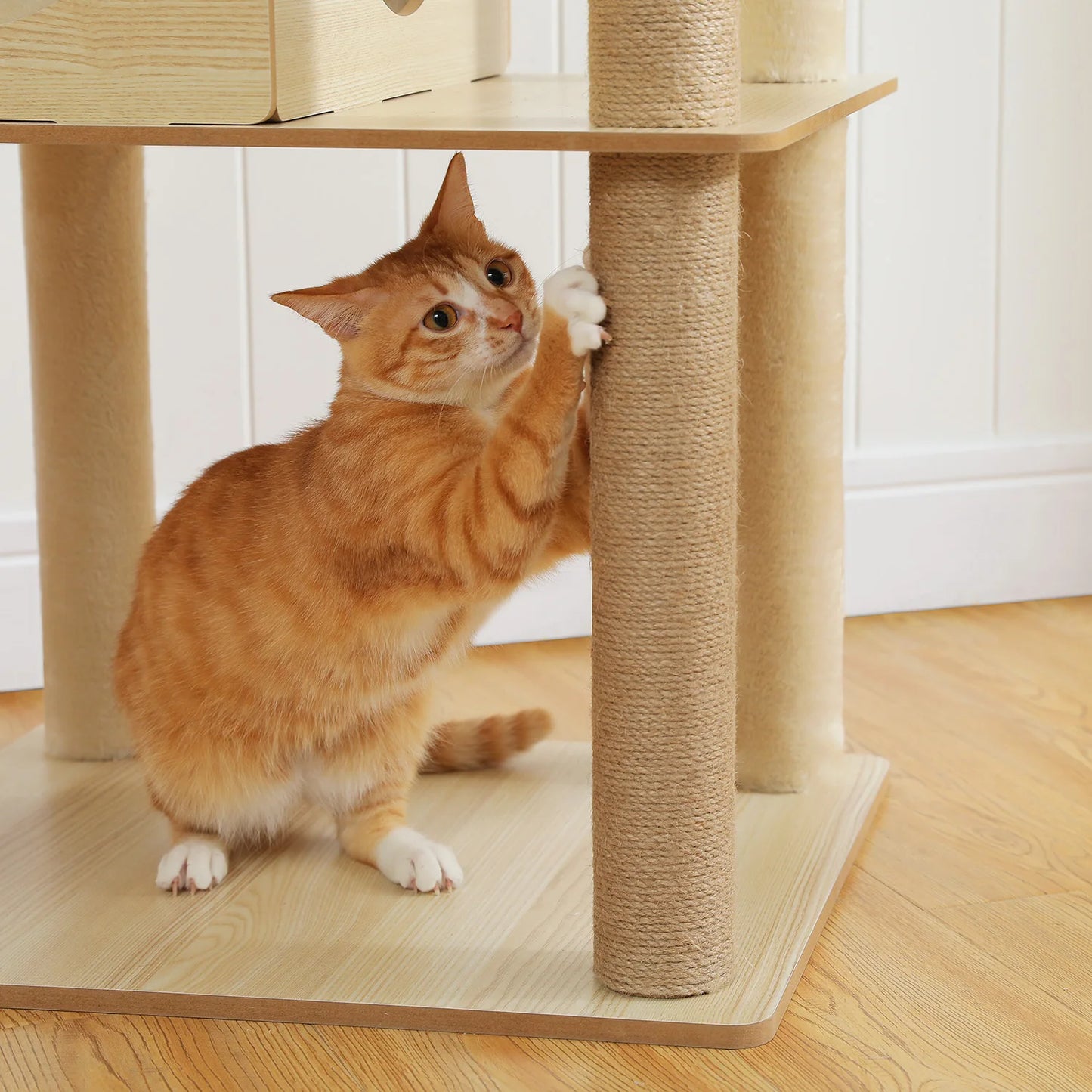 PAWZ Road Multi Level Cat Tree Indoor Tower With Scratching