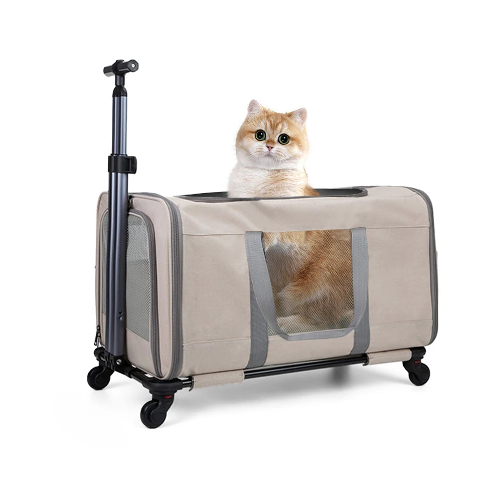 Breed Cat Trolley For 2 Cats With Removable Wheeled Stand And Zipper Closure Durable Metal Frame