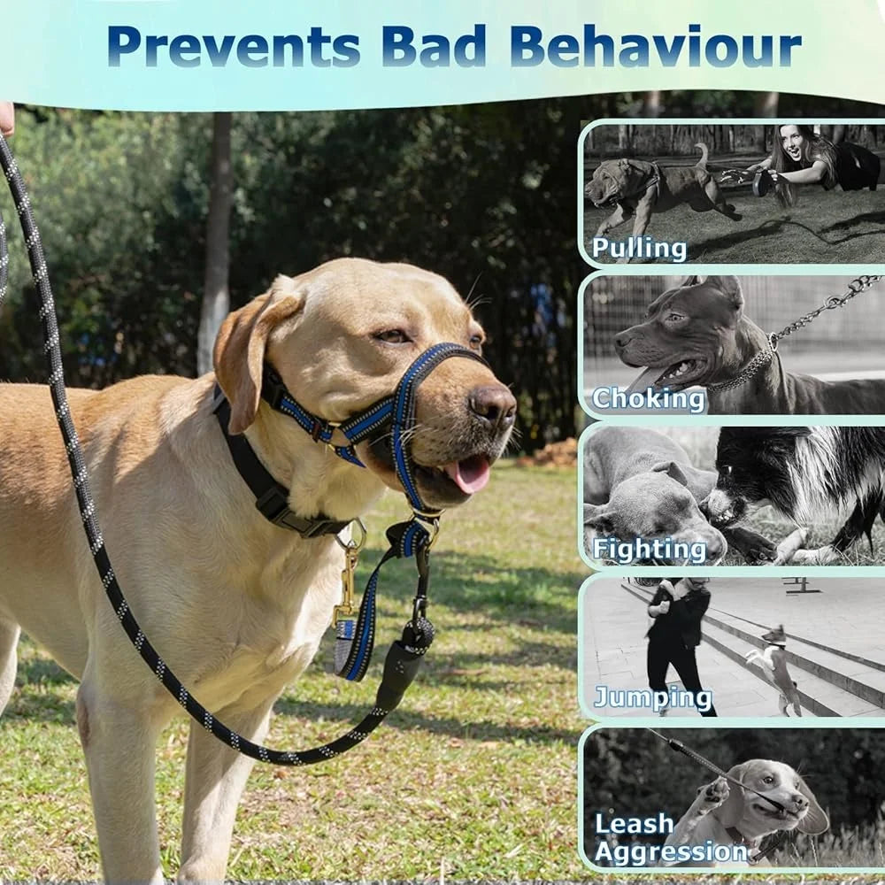Fujian No Pull Dog Head Halter Reflective Training Harness