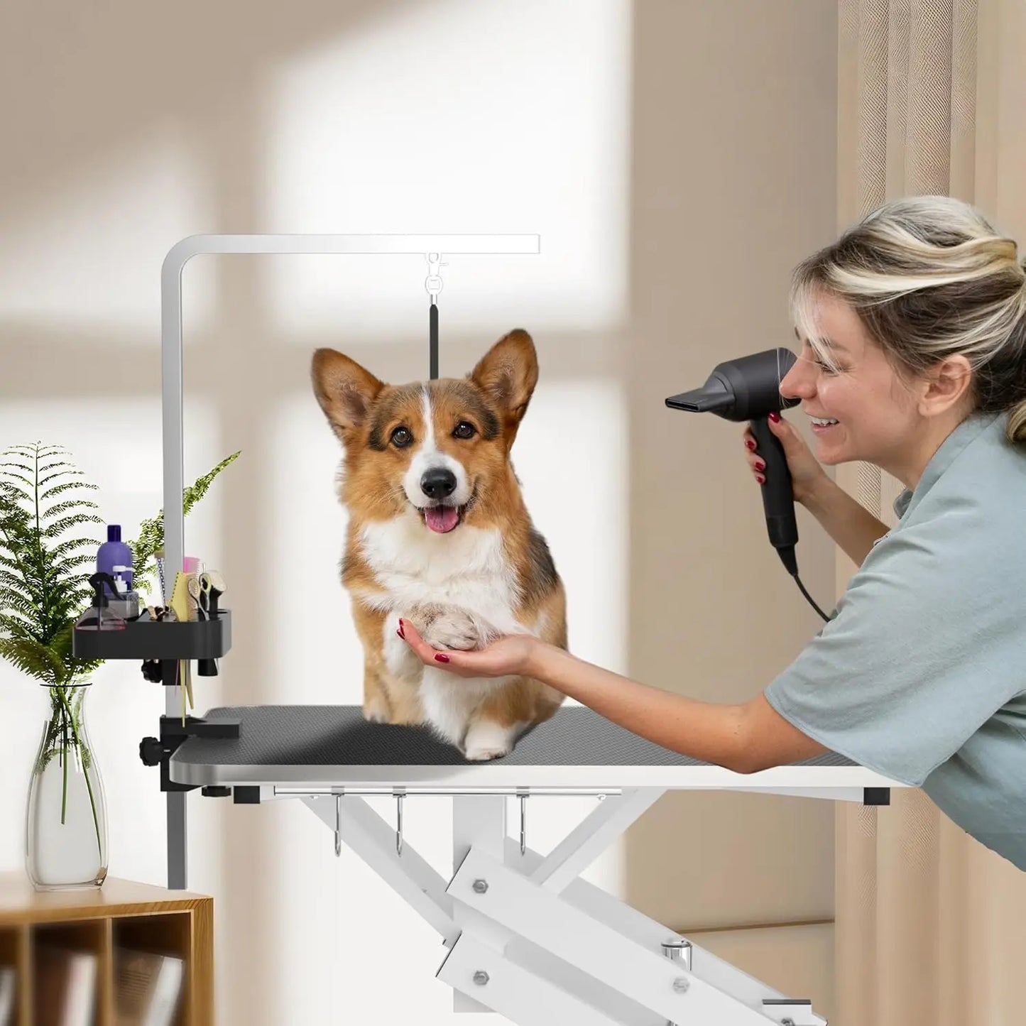 RBXCHign Hydraulic Pet Grooming Table With Z Lift Armrests