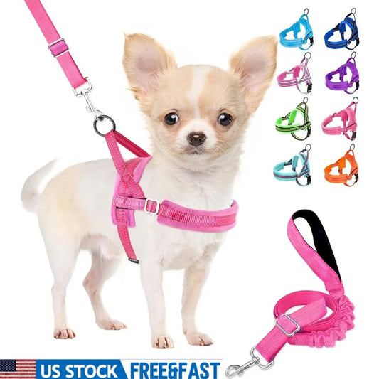 Fujian Padded Dog Harness And Leash Set Reflective Gear