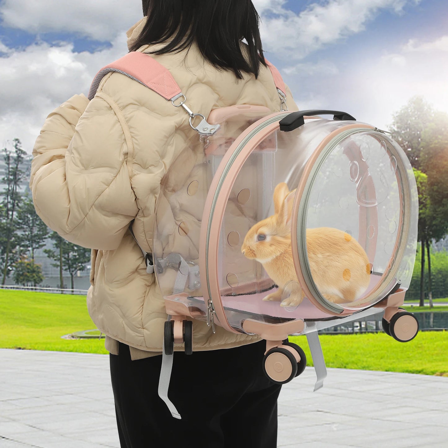 Breed Breathable Cat Carrier With Adjustable Rolling Wheels