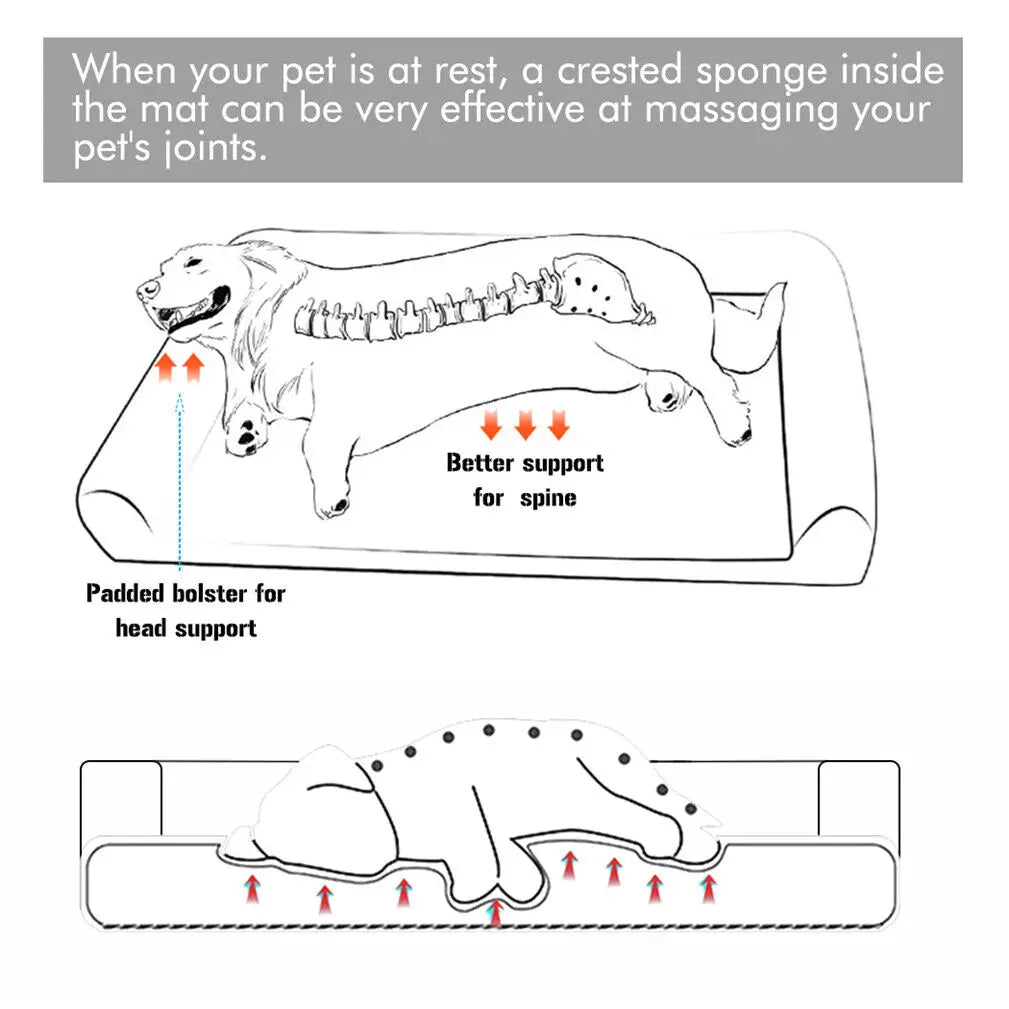 Bingopaw Orthopedic Dog Bed Removable Cover Cushion