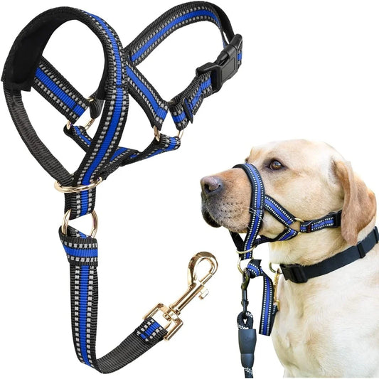 Fujian No Pull Dog Head Halter Reflective Training Harness