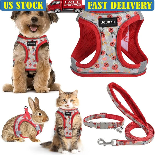 Fujian Adjustable Dog Harness Leash Set Reflective Vest