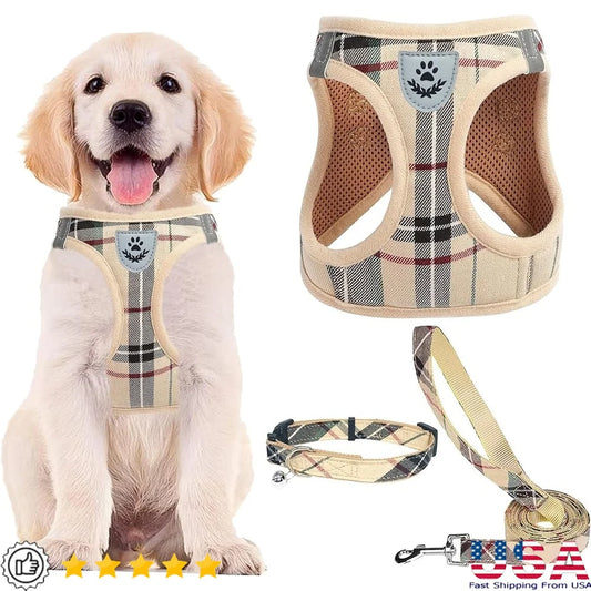 Fujian No Pull Dog Harness Set With Breathable Leash