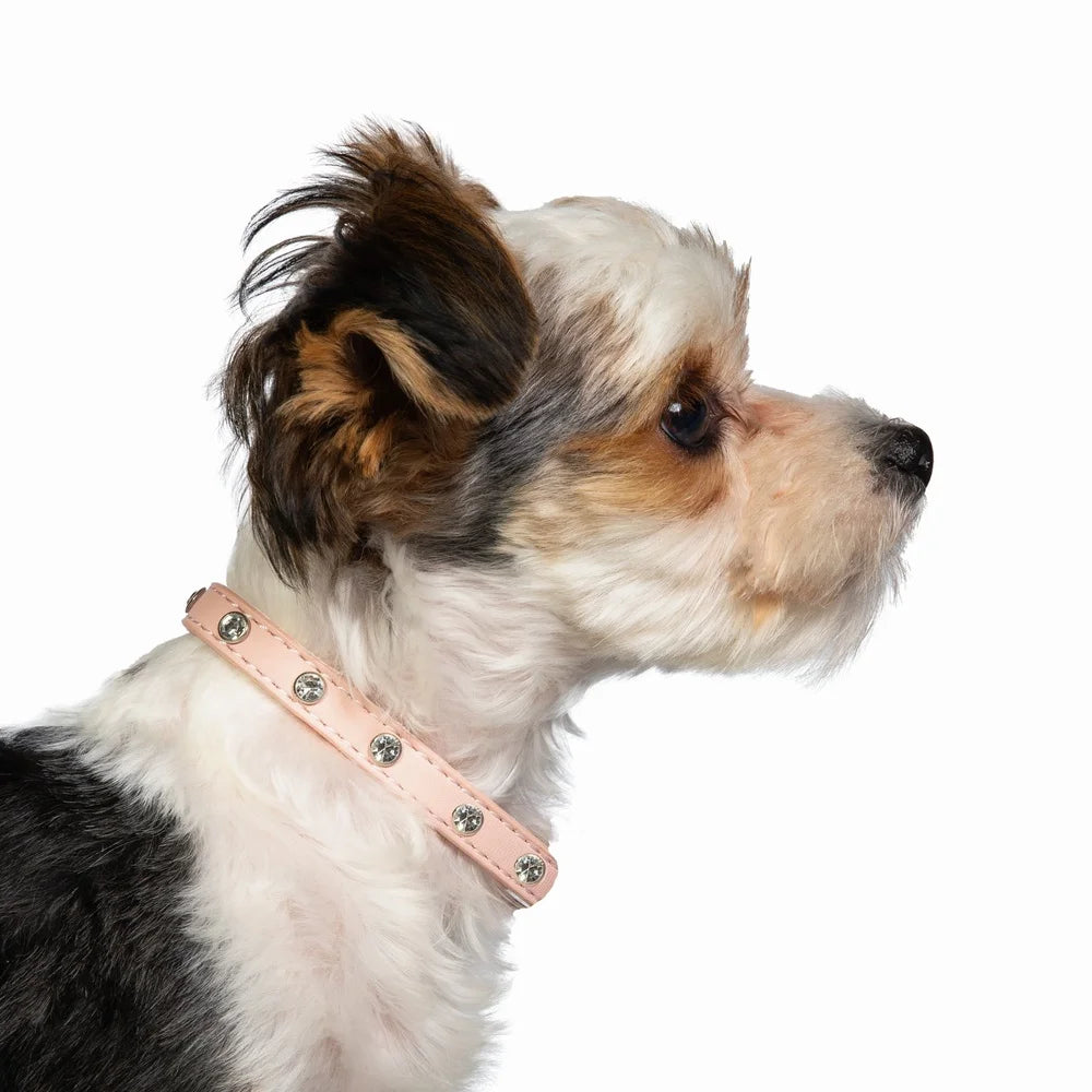 DUTRIEUX Rhinestone Dog Collar Adjustable Accessory