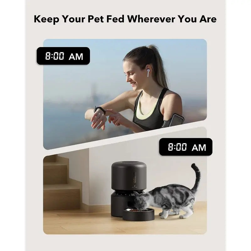 Care Automatic Cat Feeder Dispenser 6 Meals Stainless Bowl