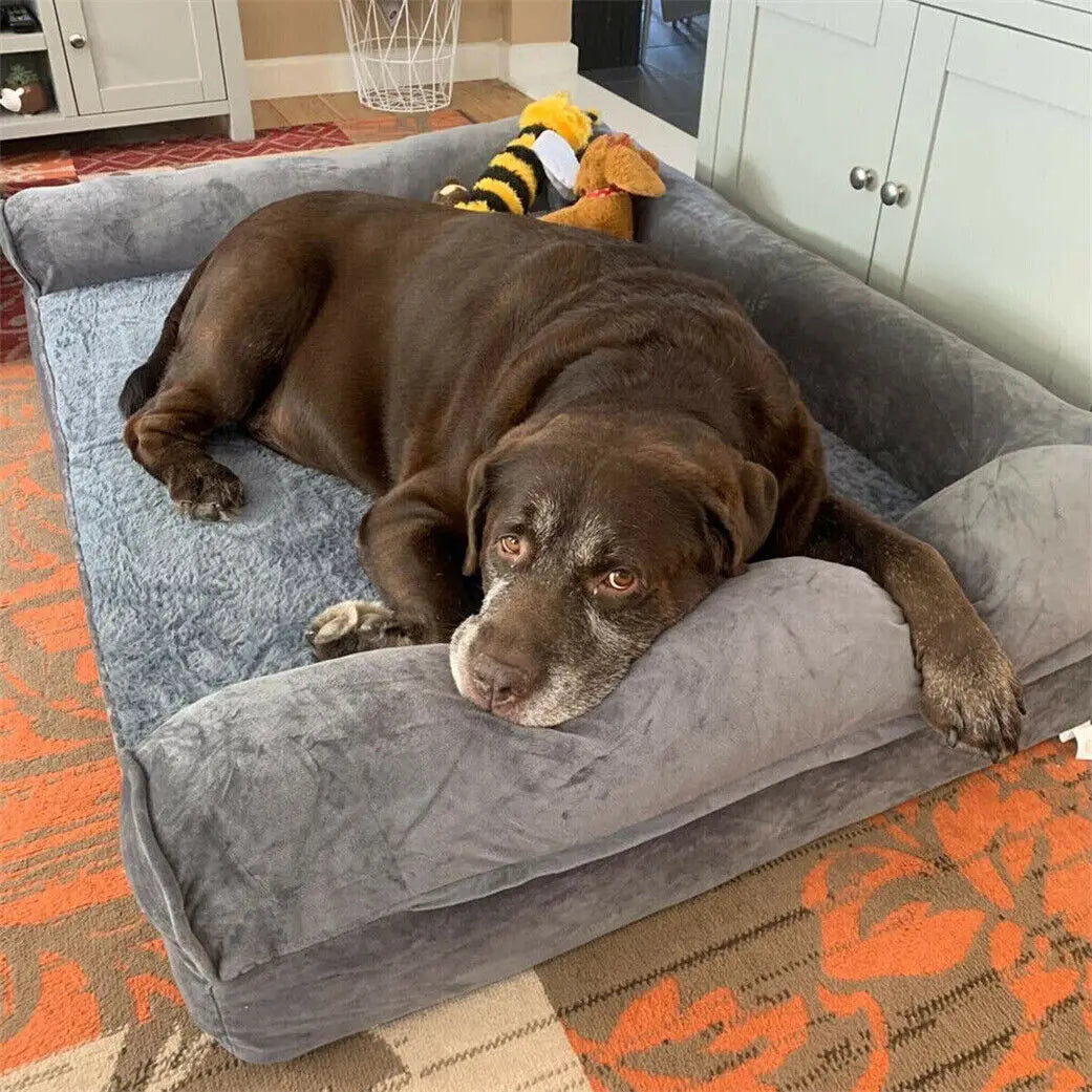 Bingopaw Orthopedic Dog Bed Removable Cover Cushion