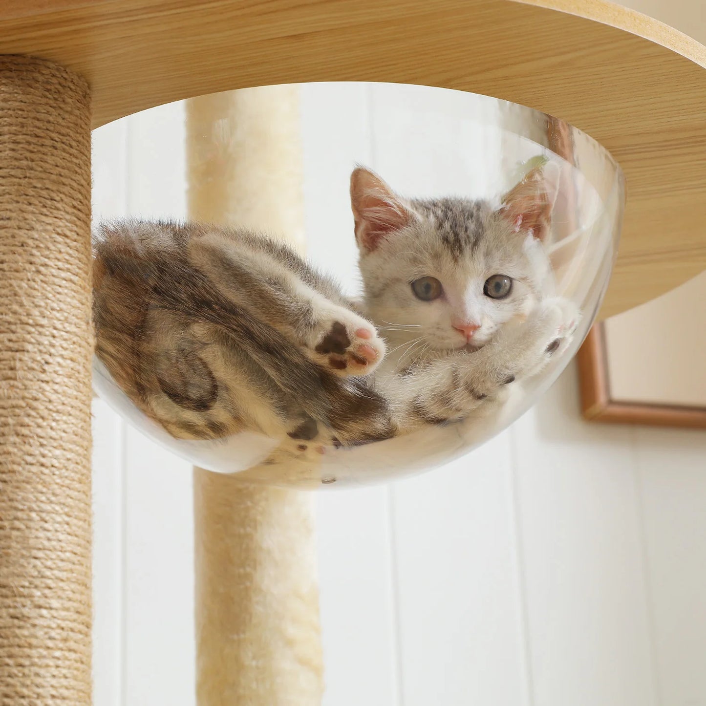 PAWZ Road Multi Level Cat Tree Indoor Tower With Scratching
