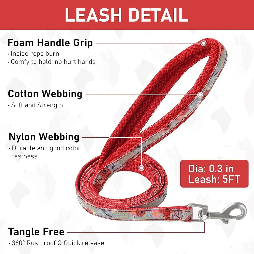 Fujian Adjustable Dog Harness Leash Set Reflective Vest