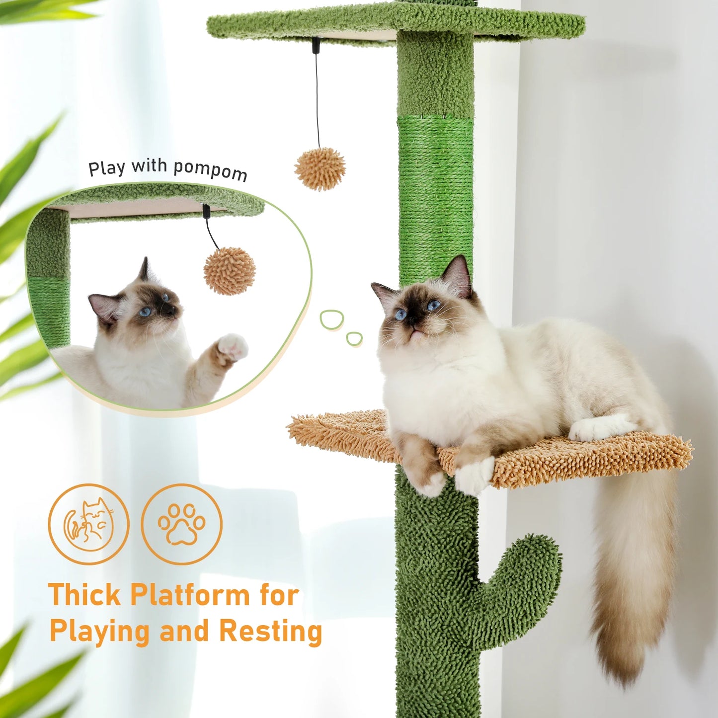 PAWZ Road 5 Tier Cat Tree Floor to Ceiling Tower Cactus