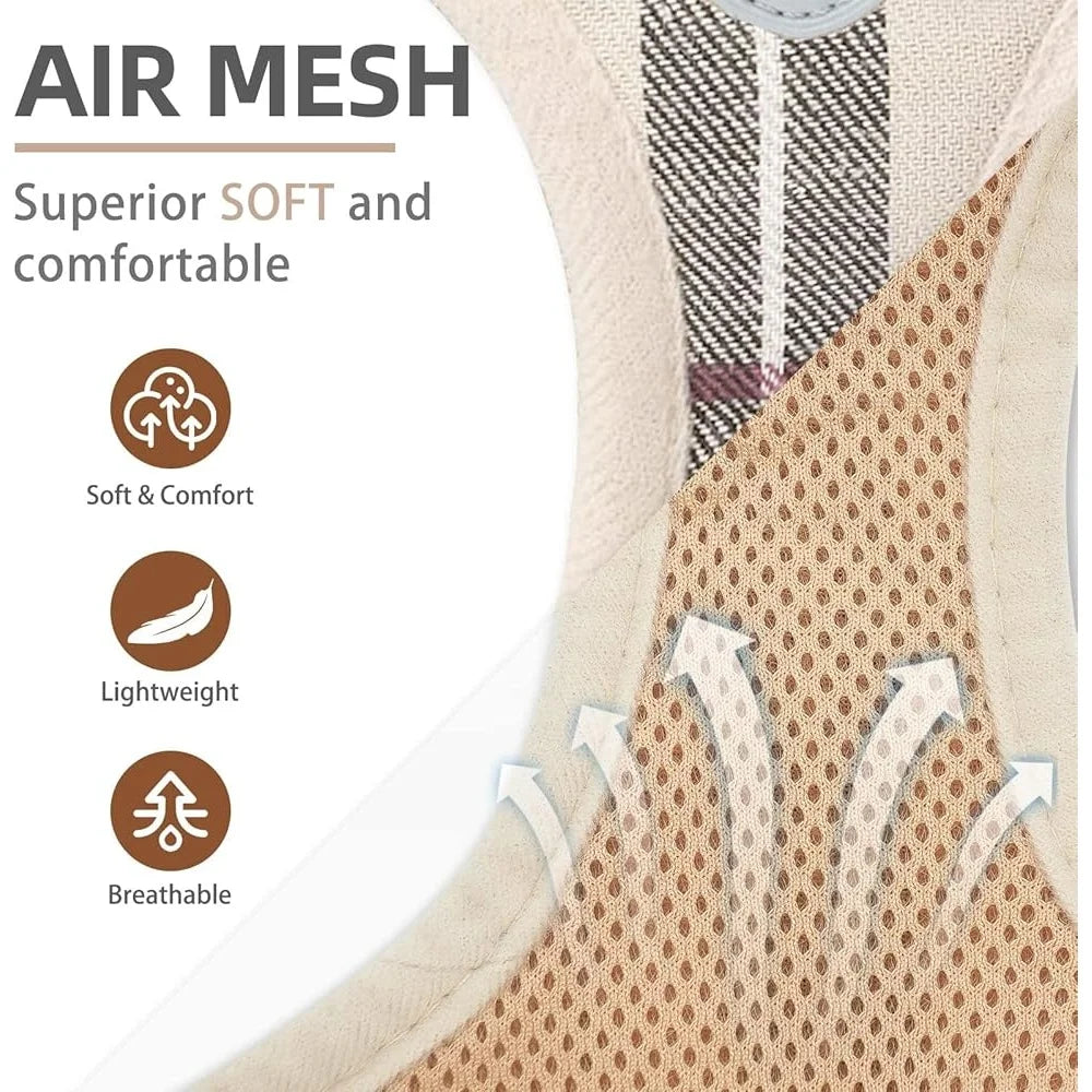 Fujian No Pull Dog Harness Set With Breathable Leash