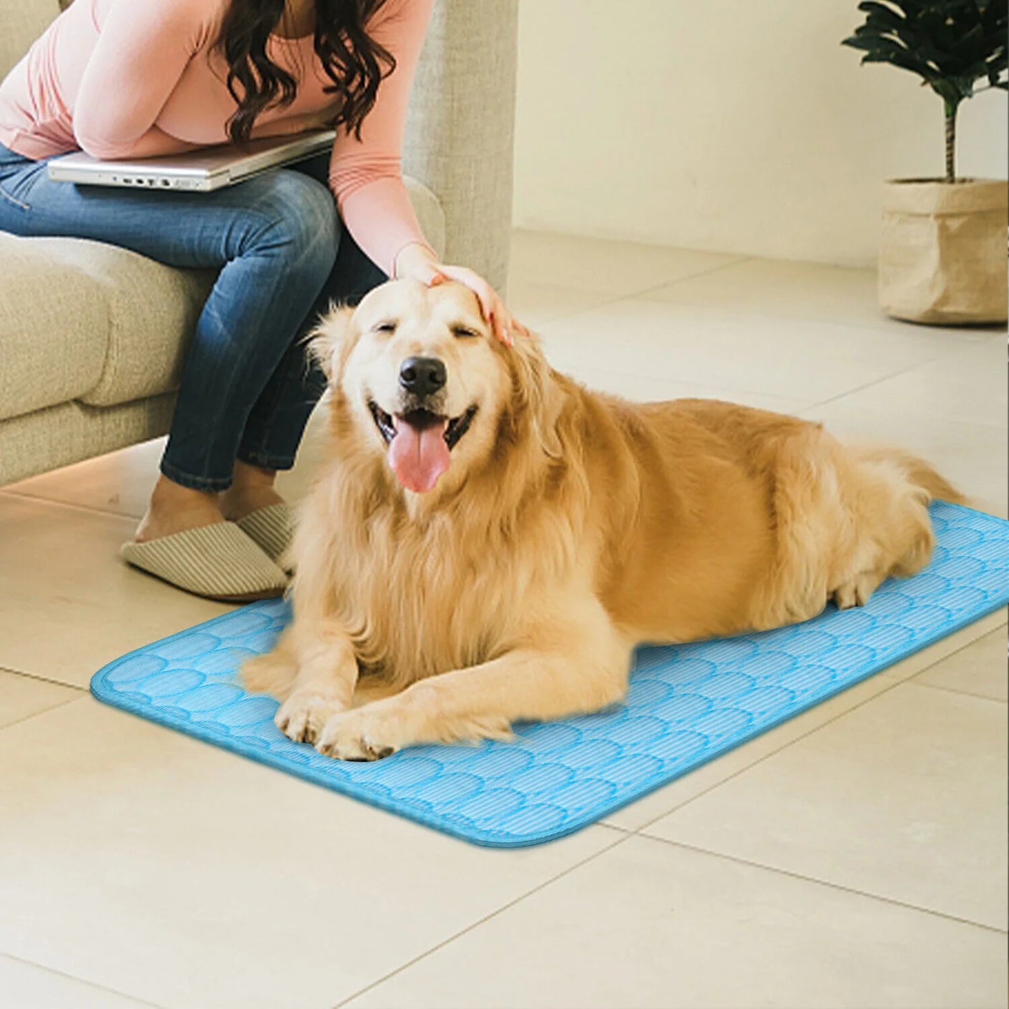 Zhejiang Pet Cooling Mat For Dogs And Cats Summer Bed