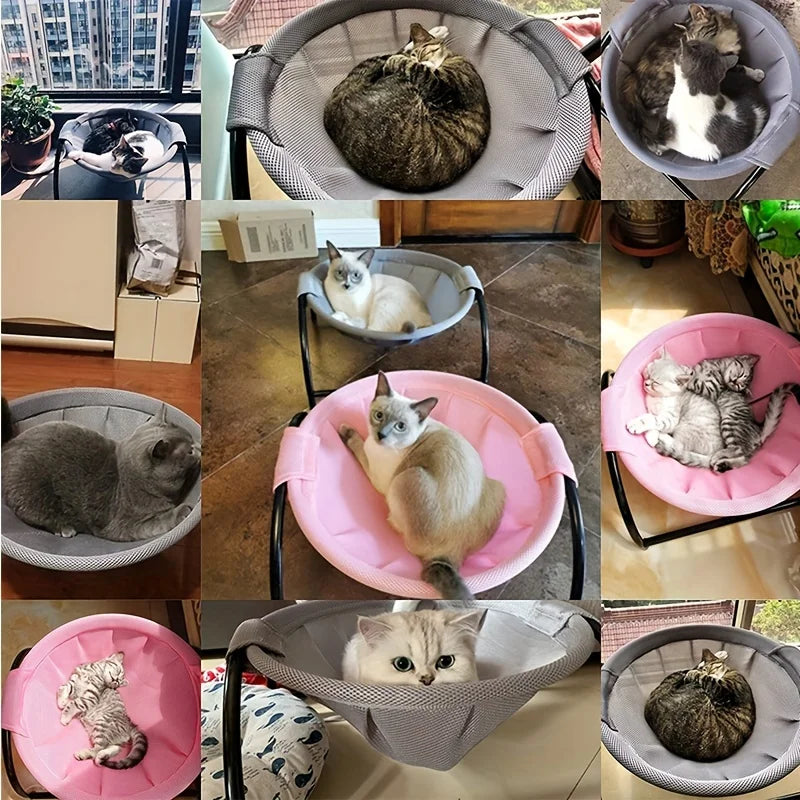 Zhejiang Cat Hammock Bed Breathable Sofa Pet Bed Ultra Cozy
