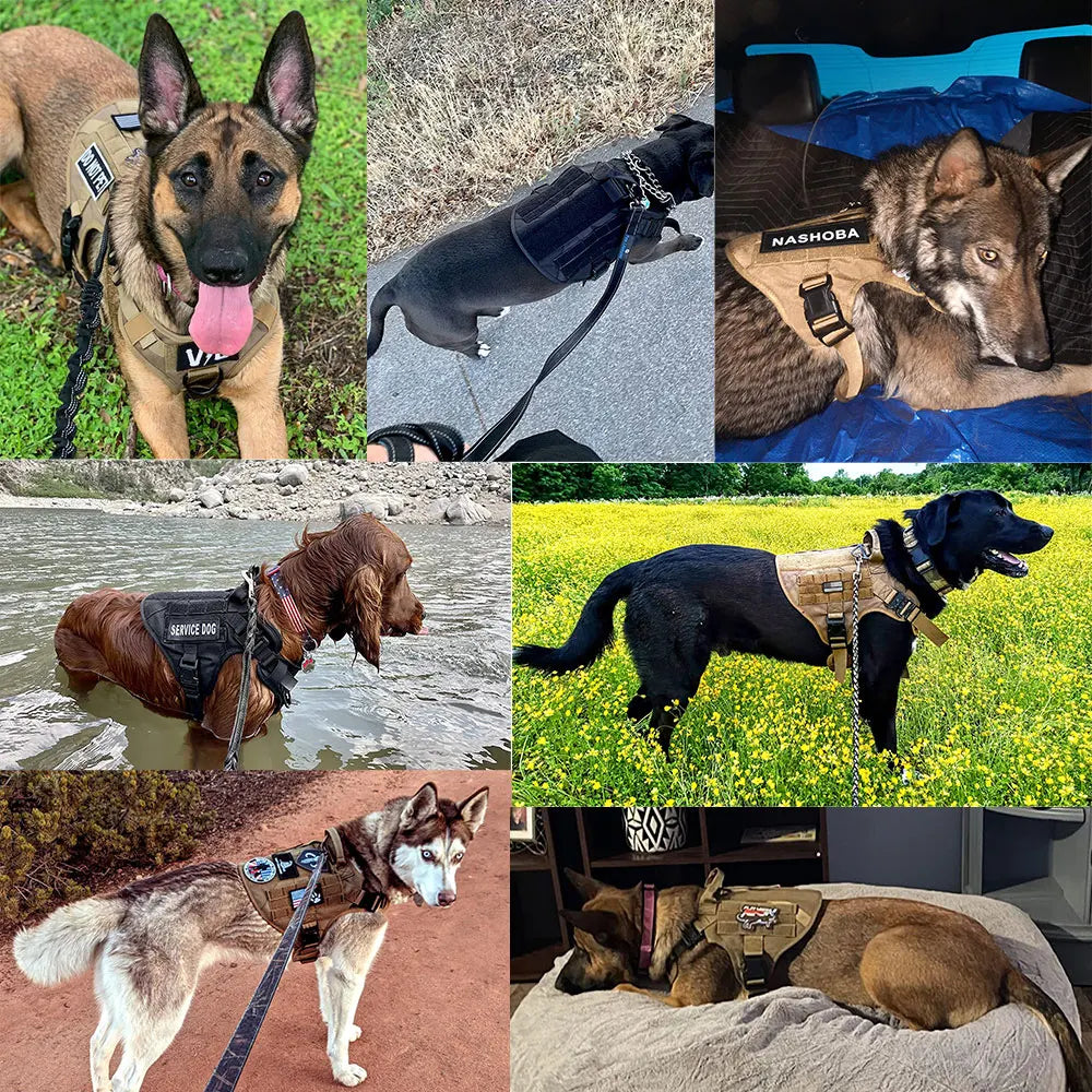 PETRAVELCN Large Dog Harness And Leash Set Vest Training