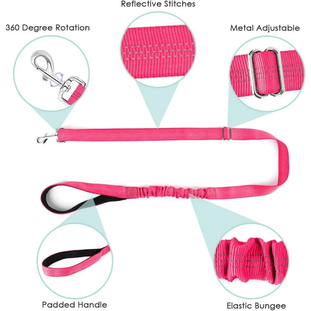 Fujian Padded Dog Harness And Leash Set Reflective Gear