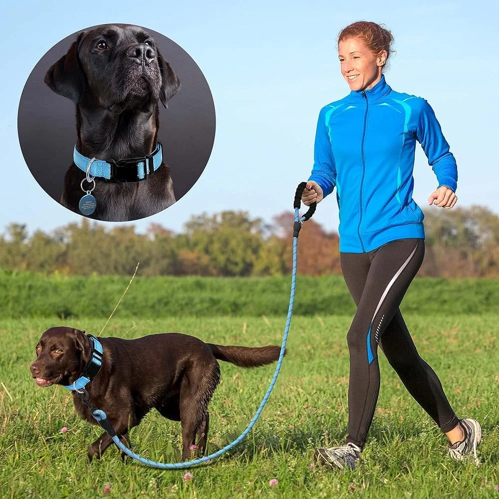 Ladoogo Reflective Padded Adjustable Dog Collar Nylon Leash